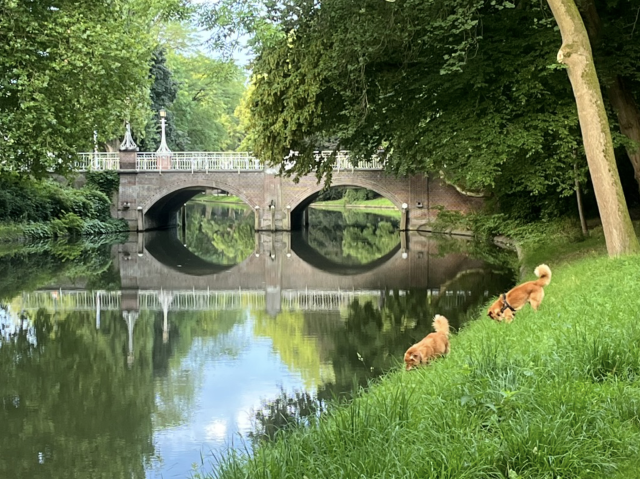 Aangaan werkplek 11